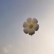 yuniの画像