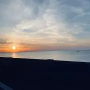 Mariの画像