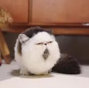 ひだまり。の画像
