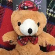 Teddyの画像