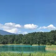 タマ