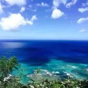 バレリーの画像
