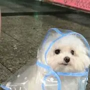 uの画像