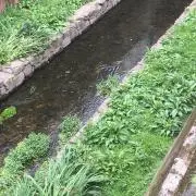 masaの画像