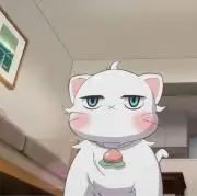 ぴのの画像