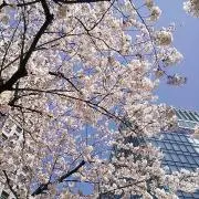 ぴー(•ө•)の画像