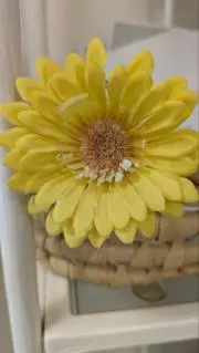 かよの画像