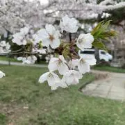 あいうえおの画像