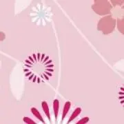 ちゃんこの画像