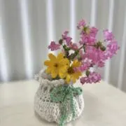 ちゃーちゃんの画像