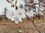 よの画像