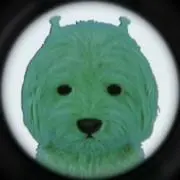 なの画像