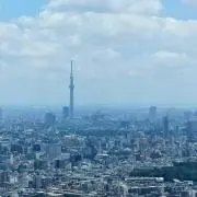 みかんの画像