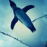 ひろの画像