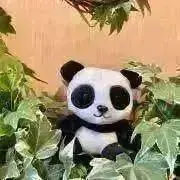 パンダの画像
