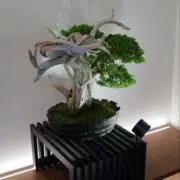 nの画像