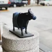 凜の画像