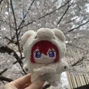 ヒロの画像