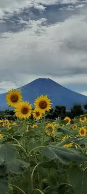 はるママ♡の画像