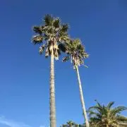 ☆CoCo☆