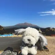 kanaの画像