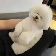 kiki