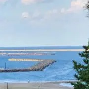 Pinoraの画像