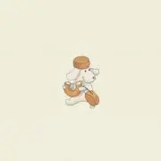 Rnの画像