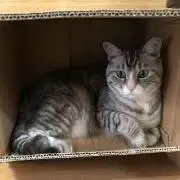 m プロフ確認宜しくお願いしますの画像