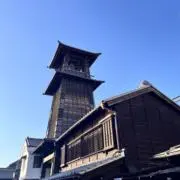 ゆりの画像