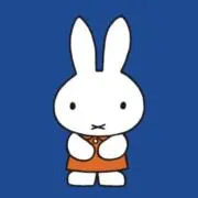 みみの画像