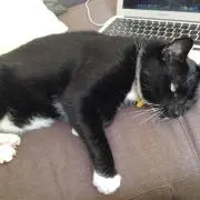 Mの画像