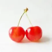 いまの画像
