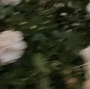 にぉ