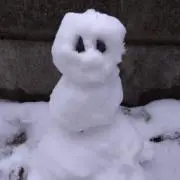 yukidarumaの画像