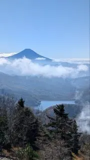 ナベの画像