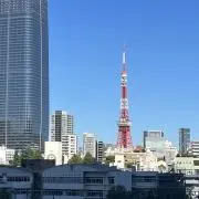 Jerseysの画像