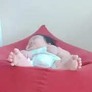 よっしー