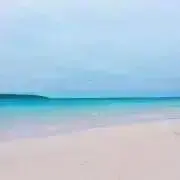 chapnの画像