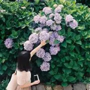 むむ