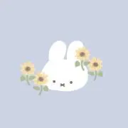 ちの画像