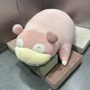 Kの画像
