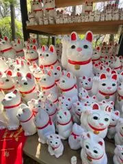 ひろみろりんの画像