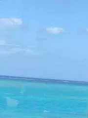 ふうた・ω・の画像