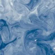 発酵の画像