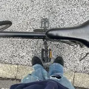 コメの画像