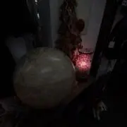 たなかの画像