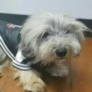 じゅんの画像