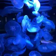 プロフ必読☆なぁ☆
