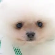 丸(プロフィ確認お願い致します。)の画像